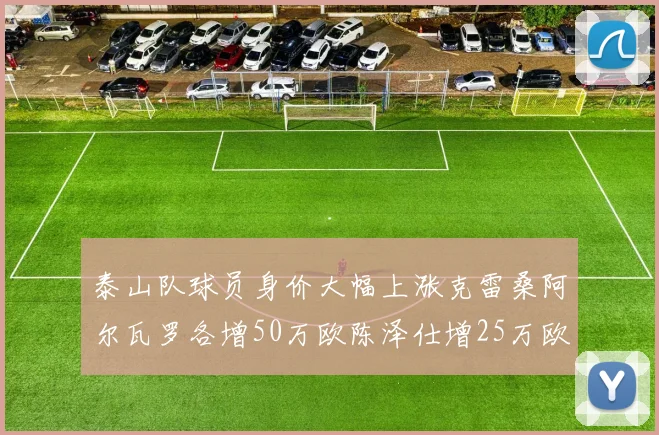 泰山队球员身价大幅上涨克雷桑阿尔瓦罗各增50万欧陈泽仕增25万欧